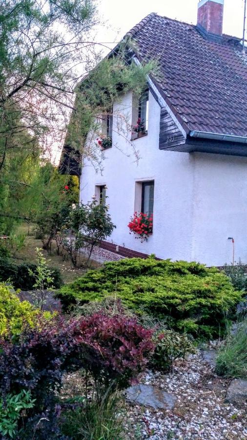Vila V Podkrusnohori Jirkov Exterior foto